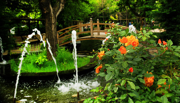 Çankaya Parkları Rengarenk