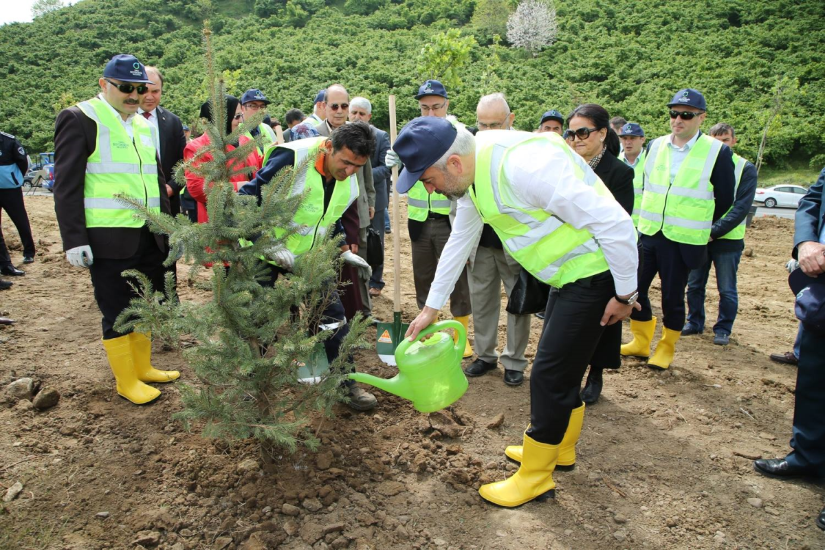 Büyükşehir, Ağaçlandırmaya Devam Ediyor Fidanlar Toprakla Buluştu