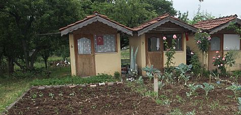 Hobi Bahçelerinde Güzellikler Yetişiyor
