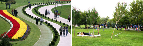 kocaeli ağaç