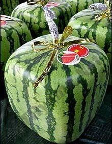 karpuz